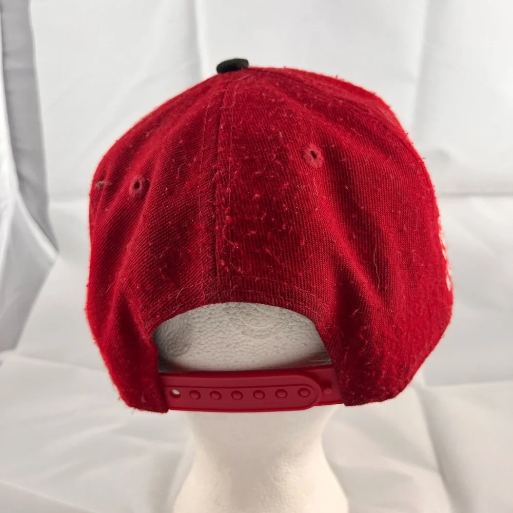 Toronto Raptors SnapBack ball hat - Picture 5 of 5